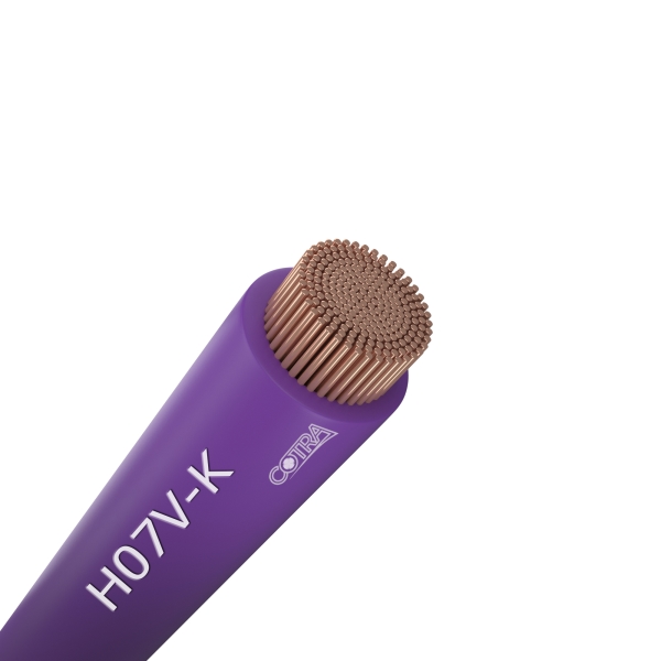 https://cotrab2c.uncledev.cloud/wp-content/uploads/2025/05/vodic-h07v-k-p-f-15-mm2-ljubicasti-931d72cb.jpg